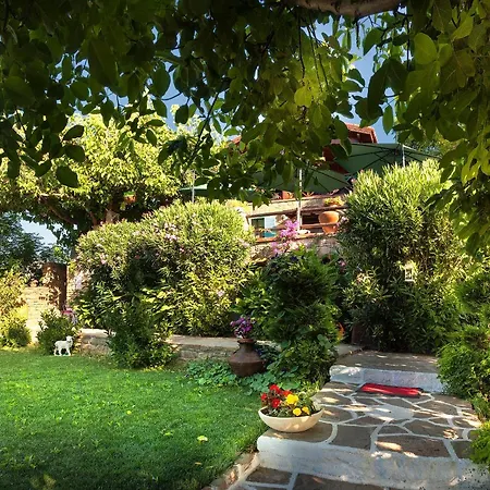 Hotel The Castle İmroz